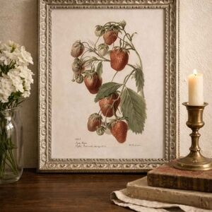 Vintage Strawberry Botanical Print in Ornate Frame